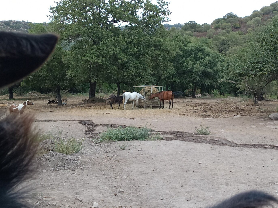 Sas Abbilas Agriturismo主图