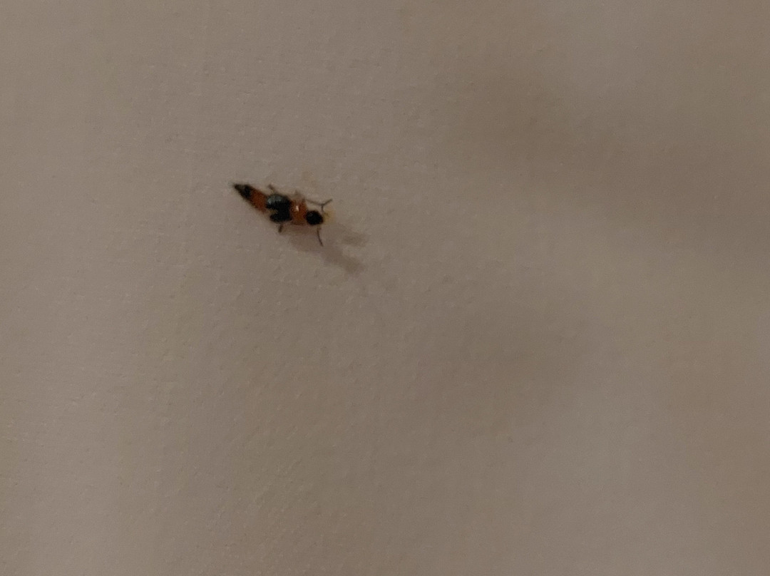 可可景观酒店主图