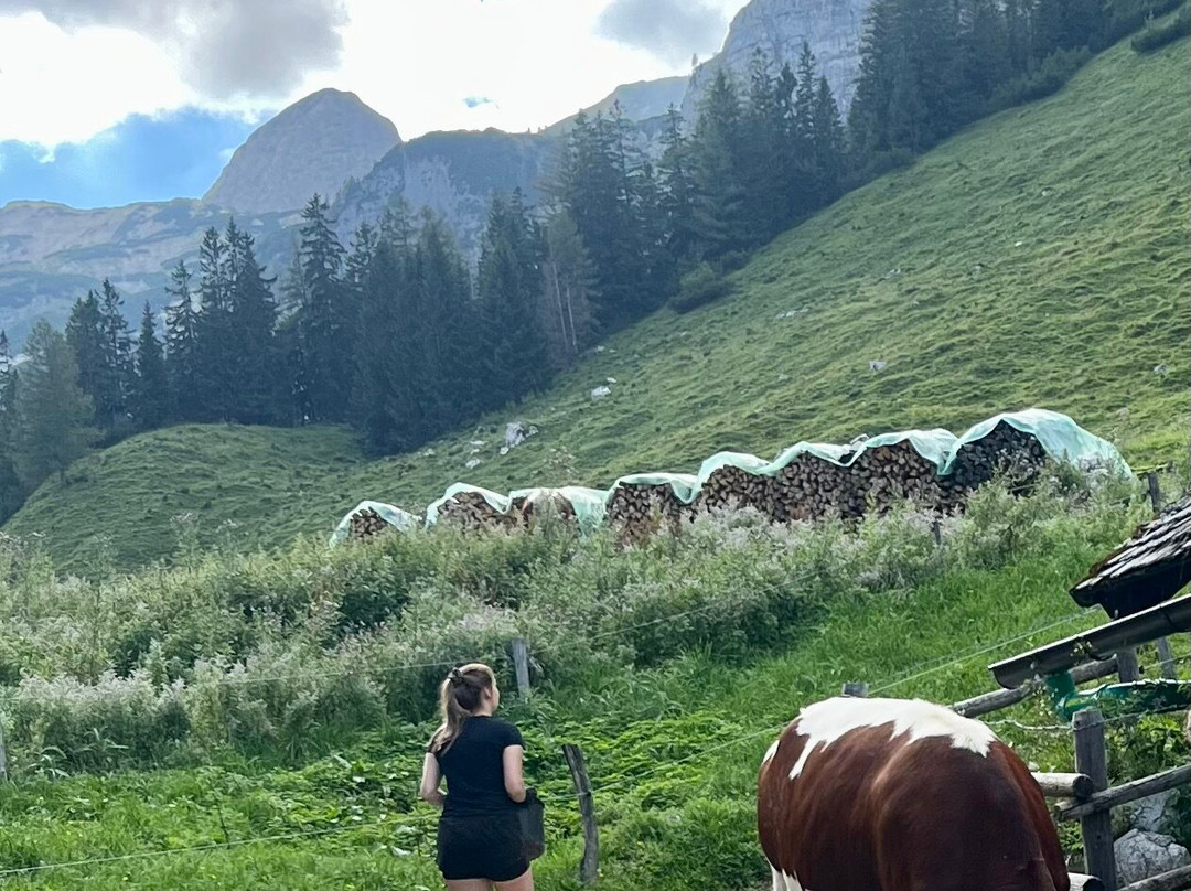 Halsalm-拉姆绍必去景点