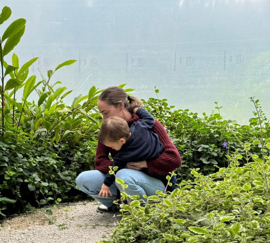 Hacienda Piman主图