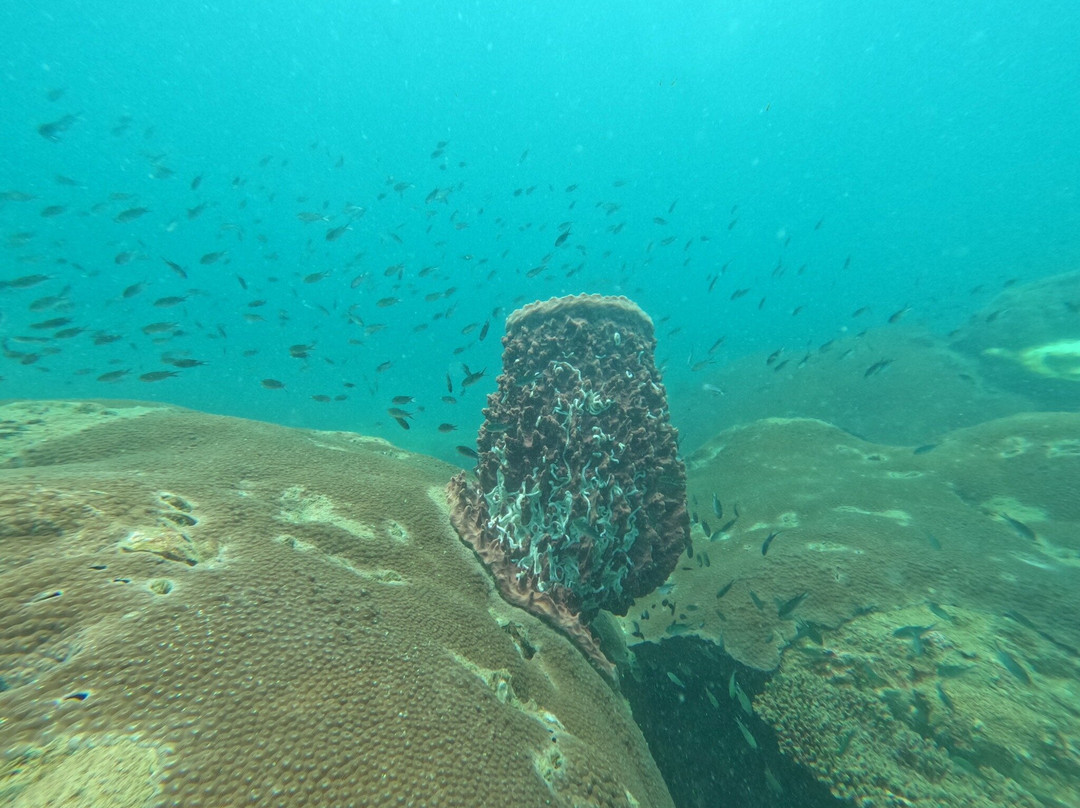 Koh Rong Dive Center-高龙必去景点