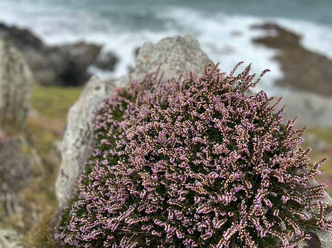 Walk - Morte Point Trail-Mortehoe必去景点