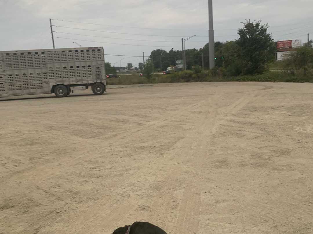 马戏城贝斯特韦斯特酒店主图