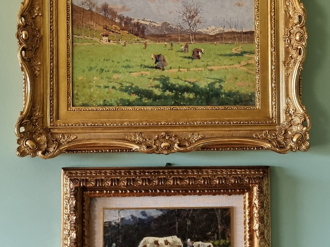 Villa Flecchia e Collezione Enrico景点图片