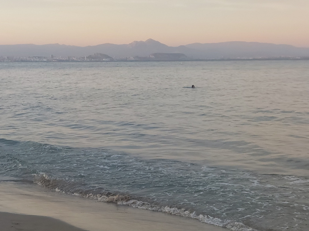 Platja Del Carabassí景点图片