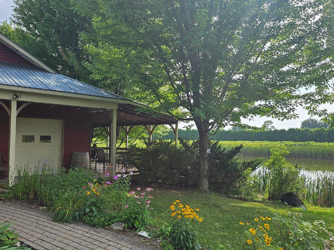 Lincoln Peak Vineyard景点图片