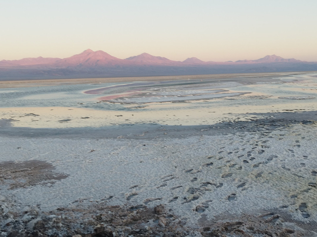 Laguna Chaxa-圣佩德罗-德阿塔卡马必去景点