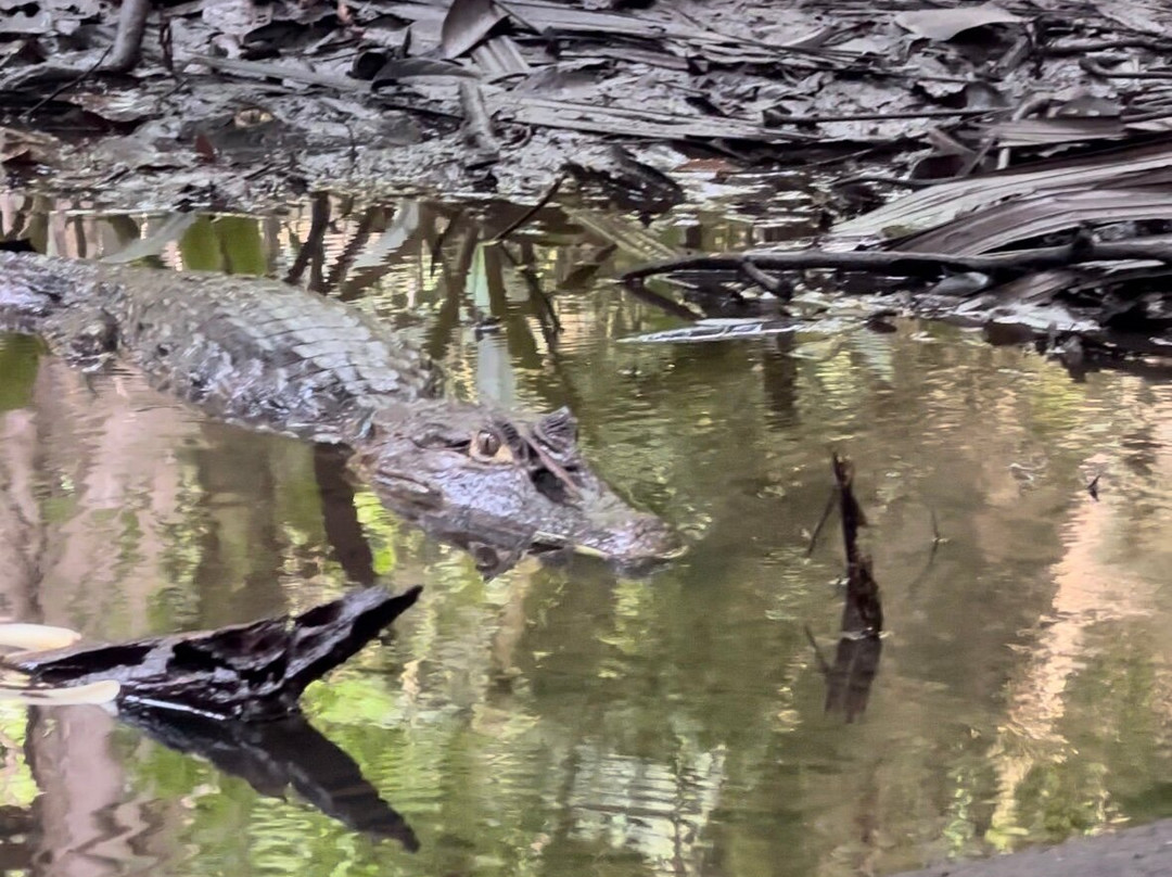 DON CHICO TOURS-托图杰多必去景点