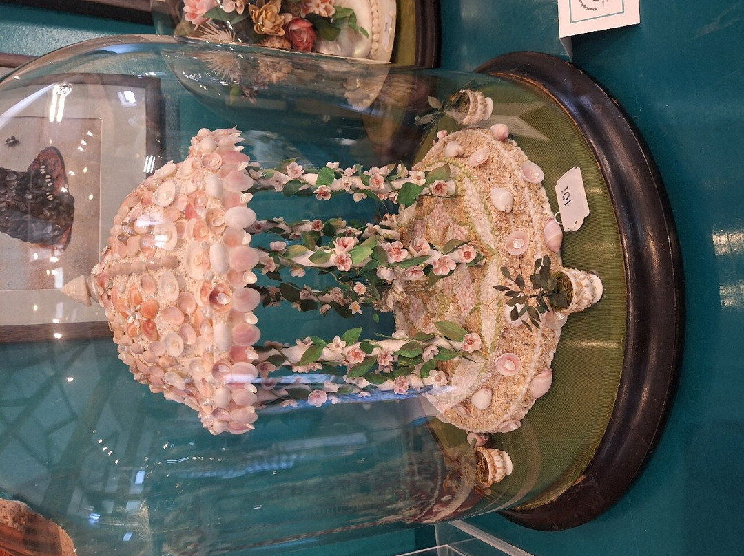 Peter Coke Shell Gallery-Sheringham必去景点