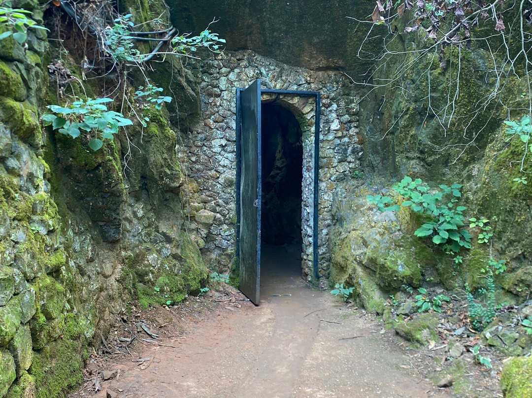 Rolater Park‎-Cave Spring必去景点
