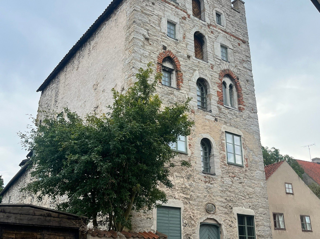 Free Tours Visby-维斯比必去景点