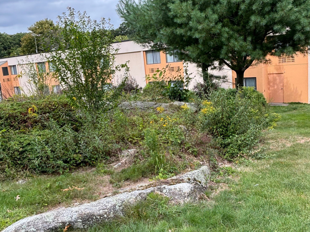 All Seasons Inn & Suites主图