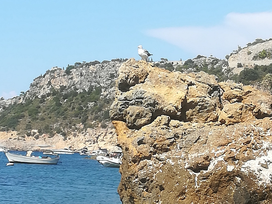 Cala Grande景点图片