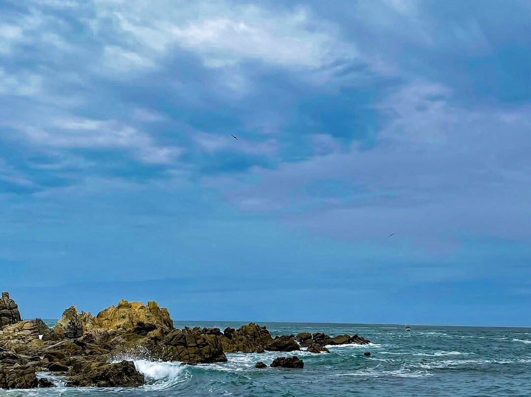 Playa Manzanillo景点图片