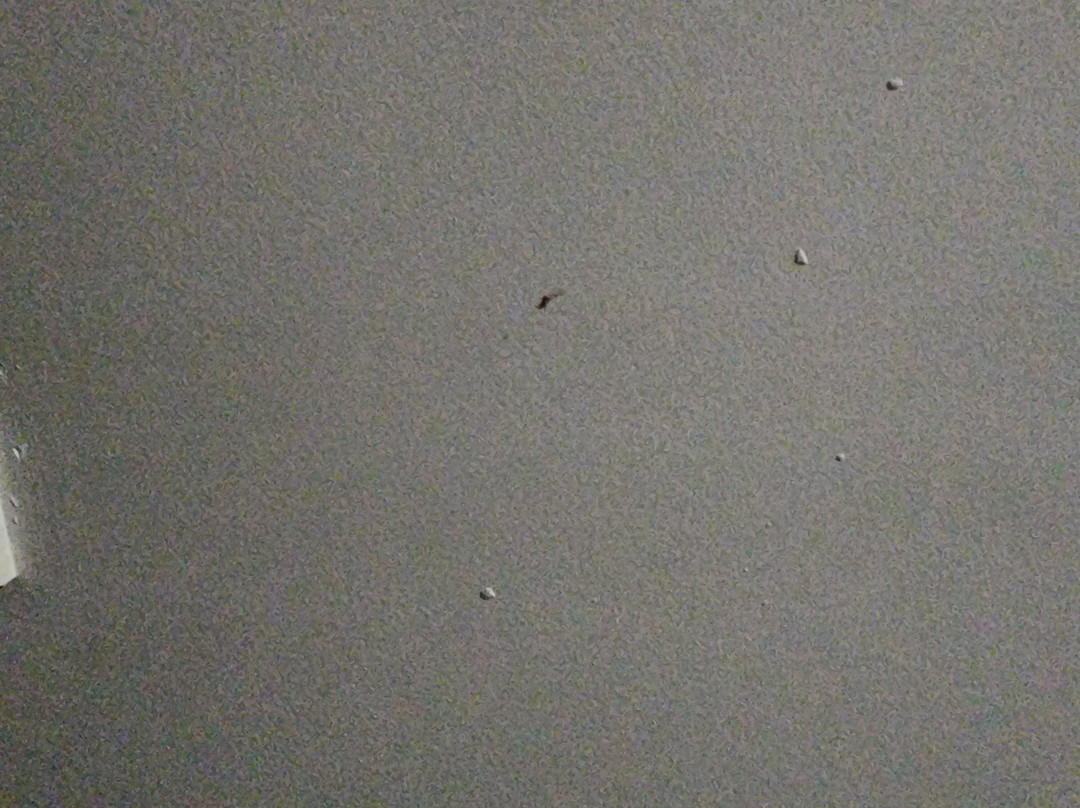 Cosmopolitan Motel & Serviced Apts主图