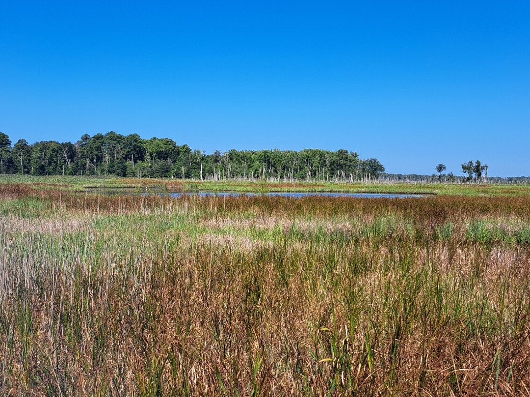 Prime Hook National Wildlife Refuge-Milton必去景点