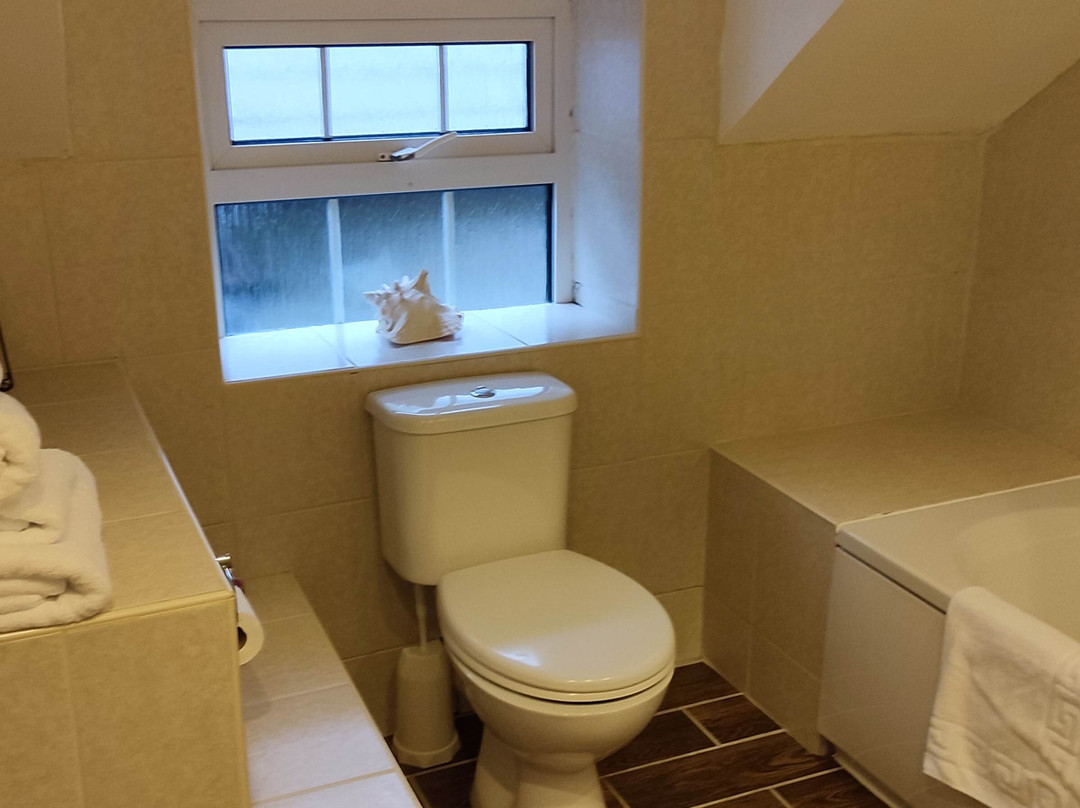 Sygun Fawr Country House主图