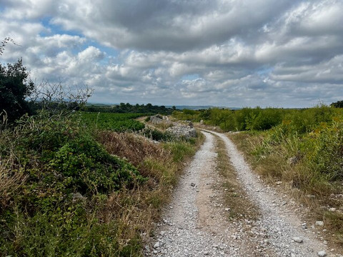 Domaine De Montahuc-Saint-Jean-de-Minervois必去景点