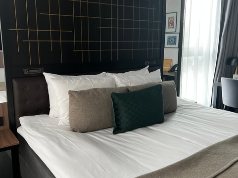 Hotel Reykjavik Saga主图