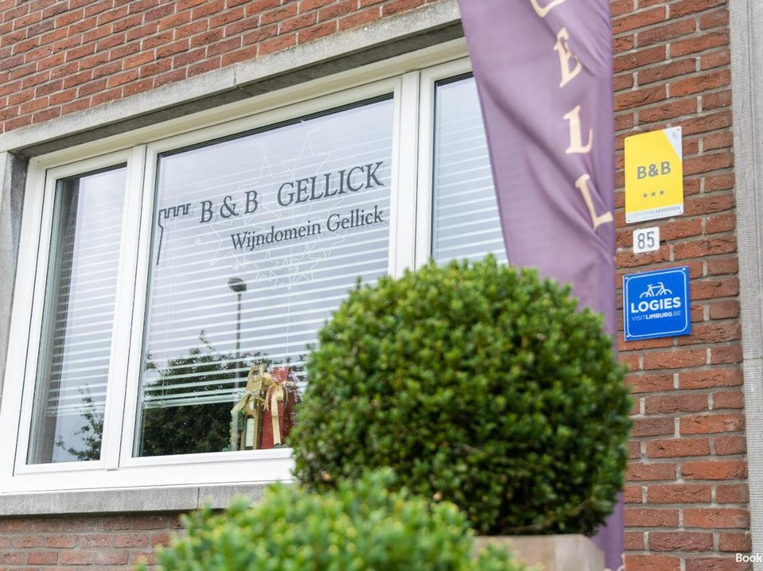B&B Gellick主图