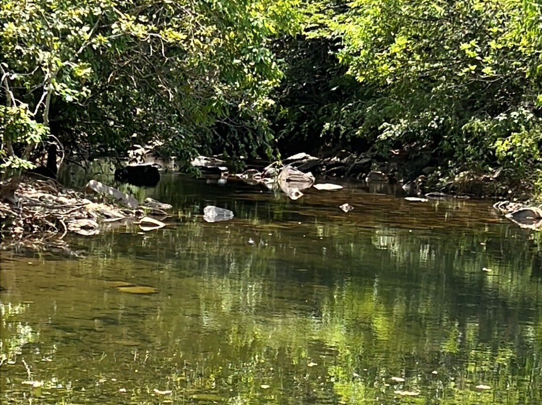 Cachoeira das Araras-Pirenopolis必去景点