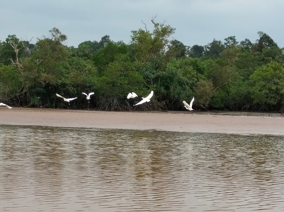Cardamom Mountains-戈公必去景点