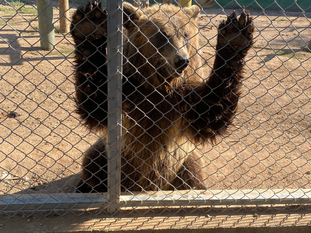 Melios Zoo-尼科西亚必去景点
