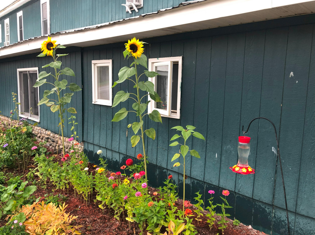 Tahquamenon Hotel主图