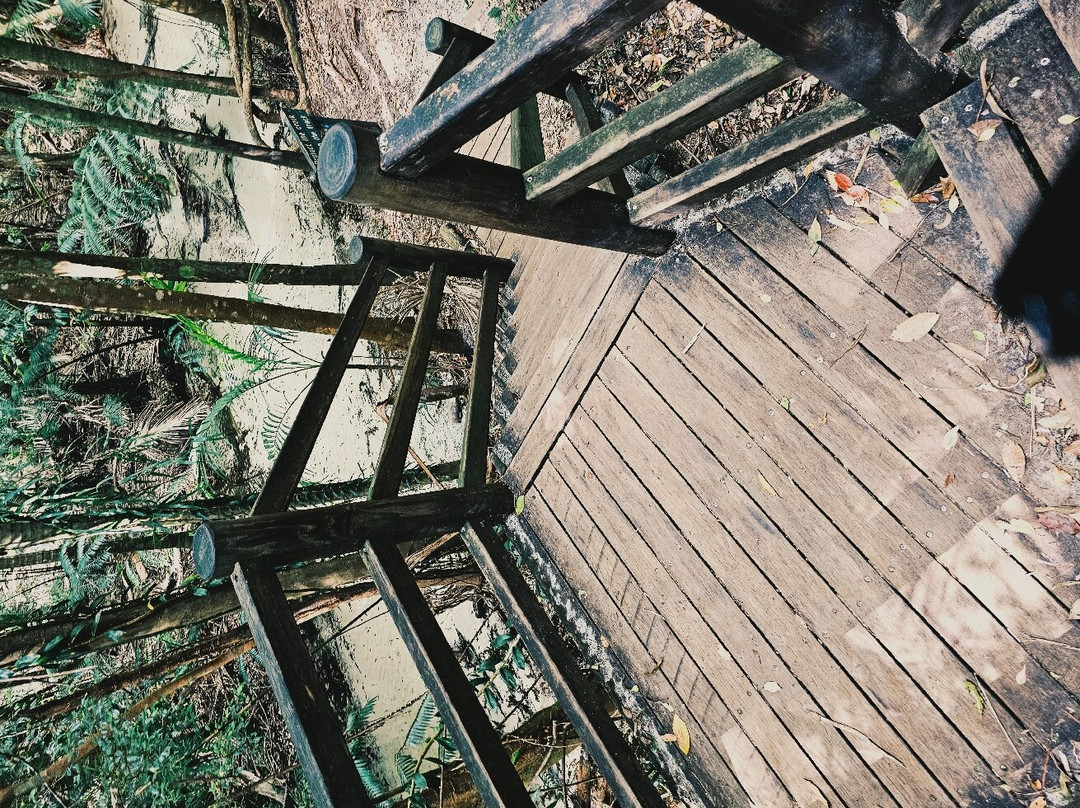 Fraser Experience Tours-弗雷泽岛必去景点