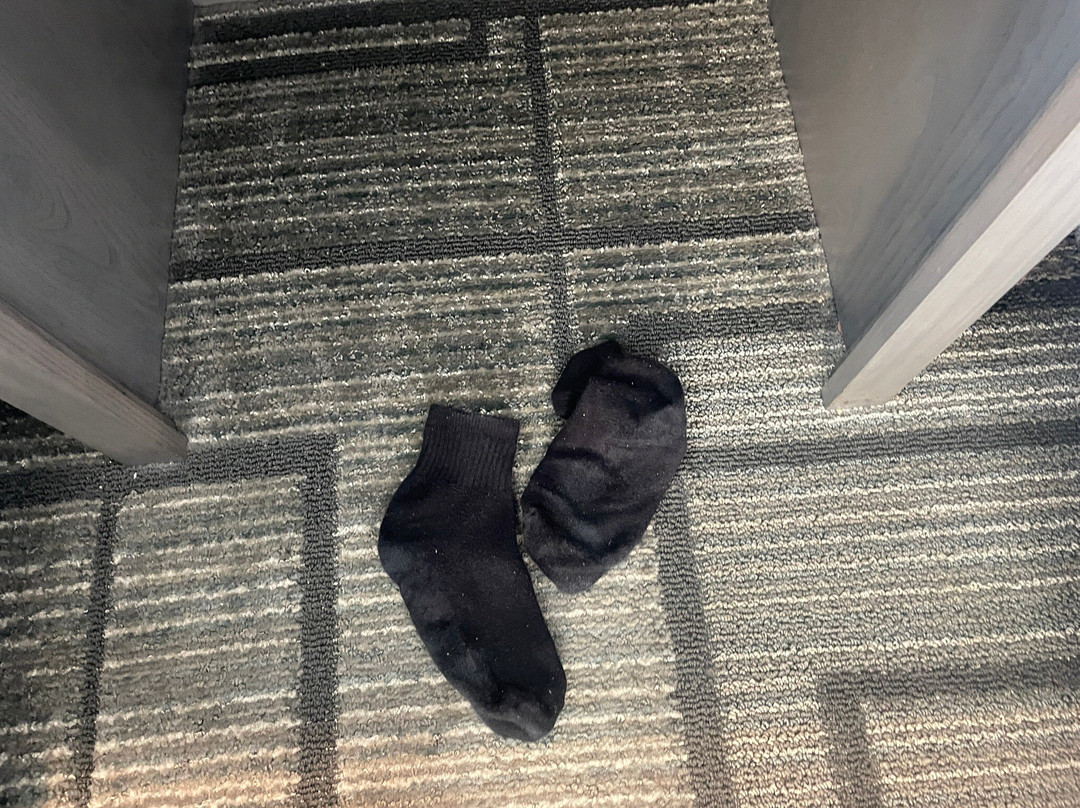 Holiday Inn Express & Suites Lafayette East By IHG主图