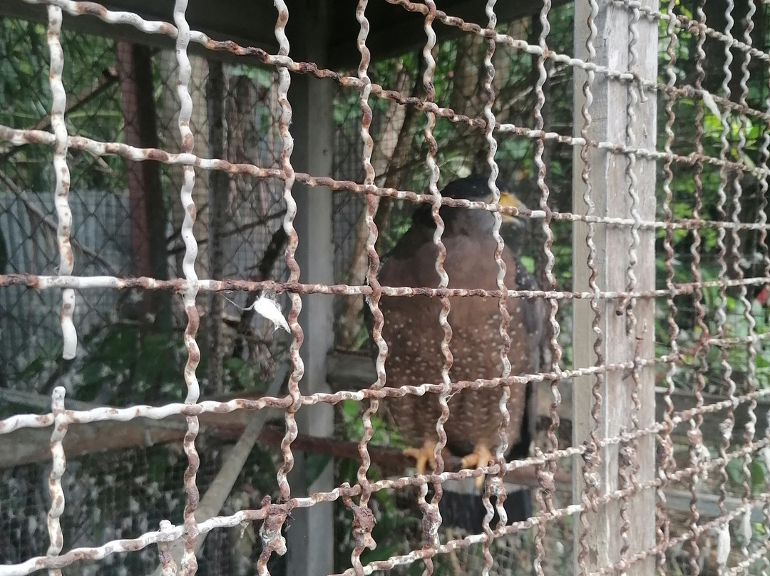 Samui Monkey Centre-利巴诺伊必去景点