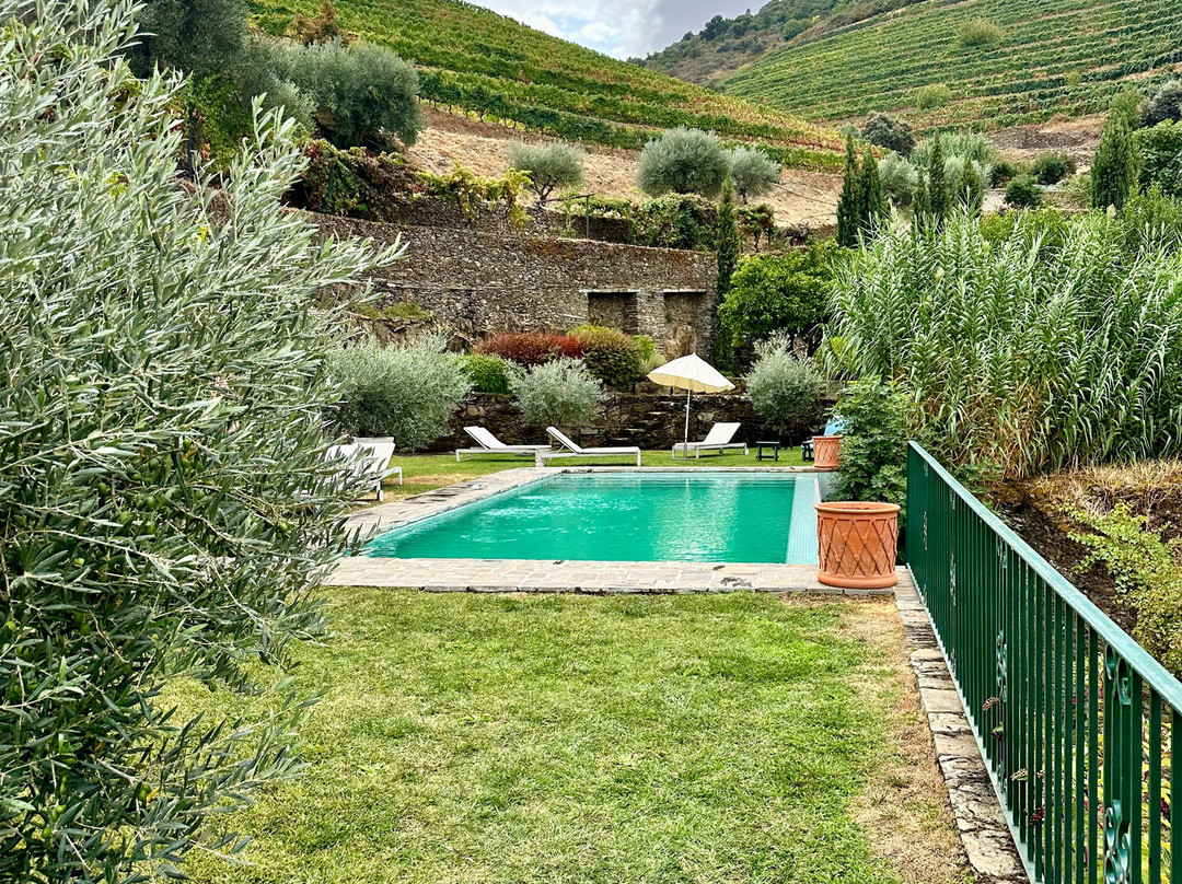 Gricha Vineyard House主图