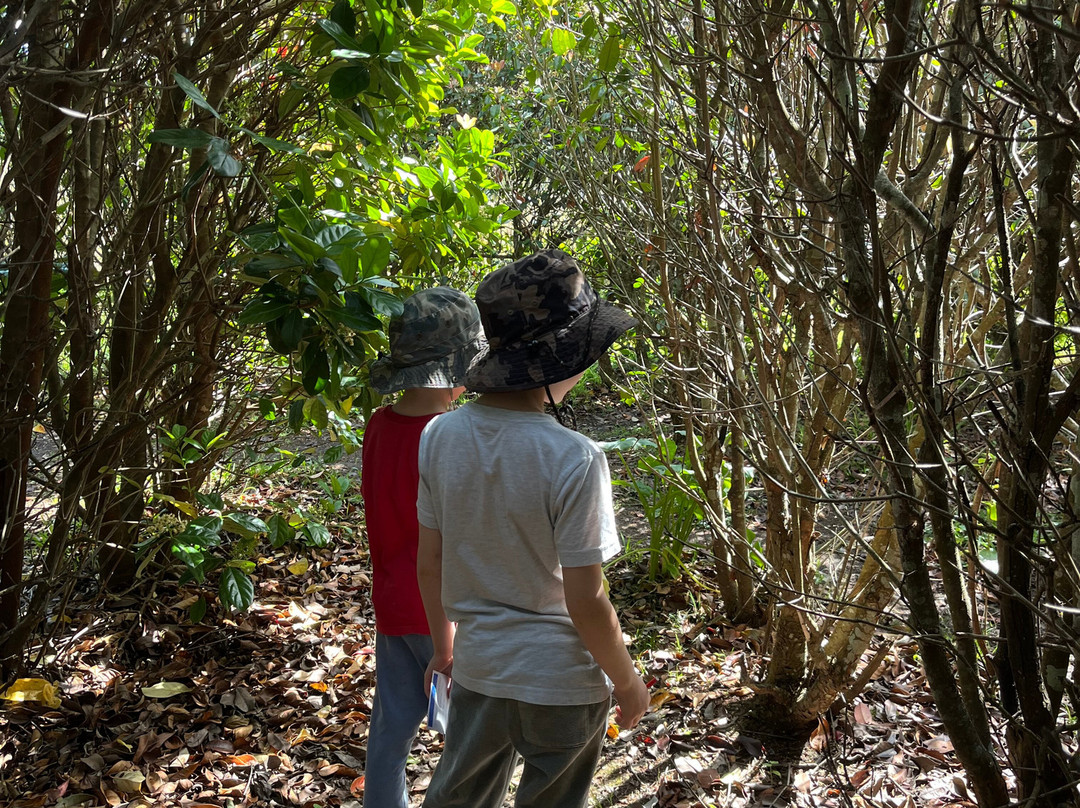 Granties Maze-Foxground必去景点