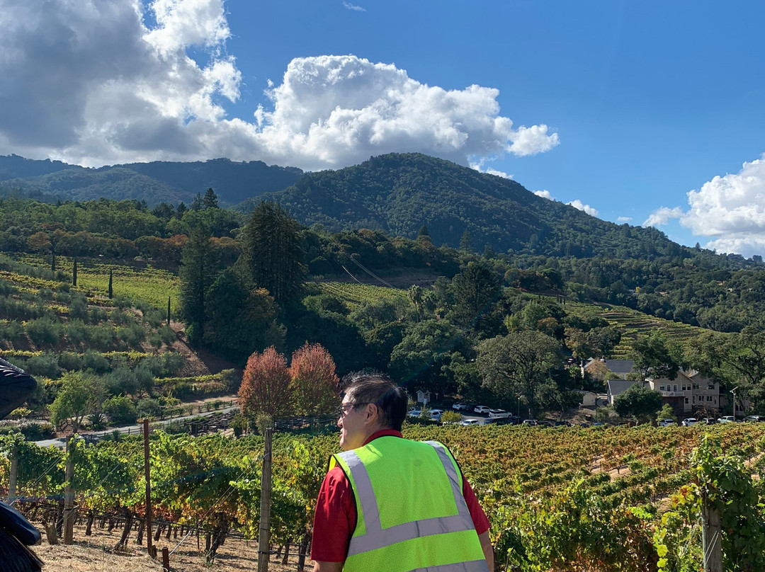 Benziger Family Winery景点图片