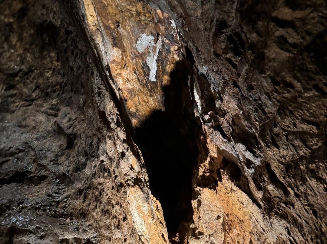 Besucherbergwerk Gottes Segen景点图片