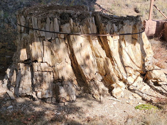 Florissant Fossil Beds National Monument-Florissant必去景点