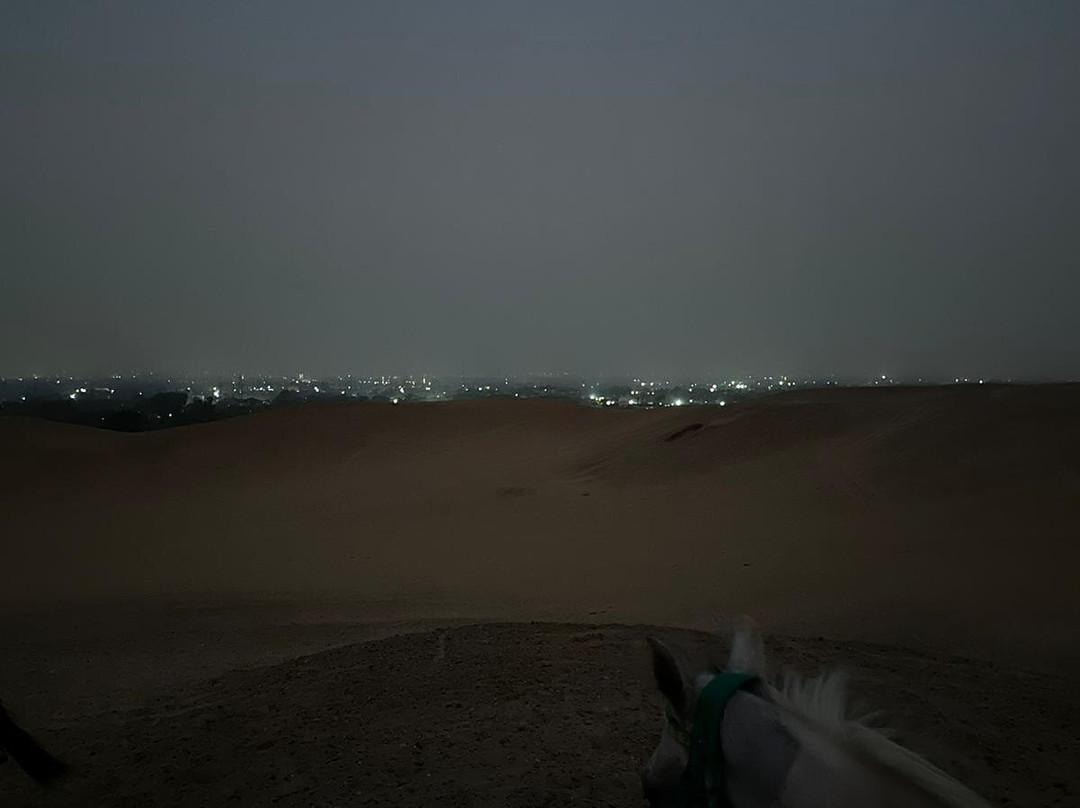 Cairo Horse Riding School