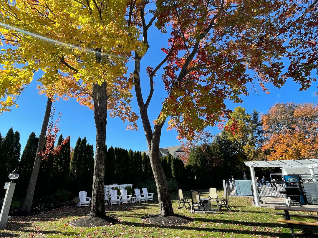 Pink Blossoms Resort主图