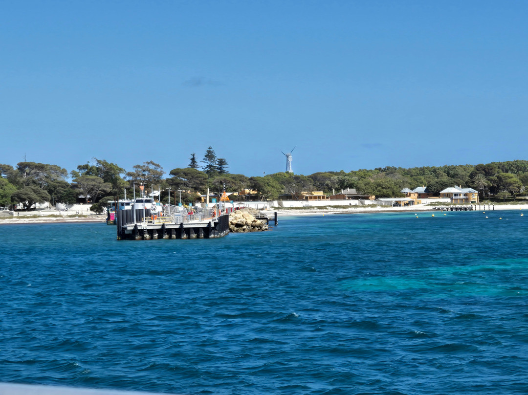 SeaLink Rottnest Island-弗里曼特尔必去景点