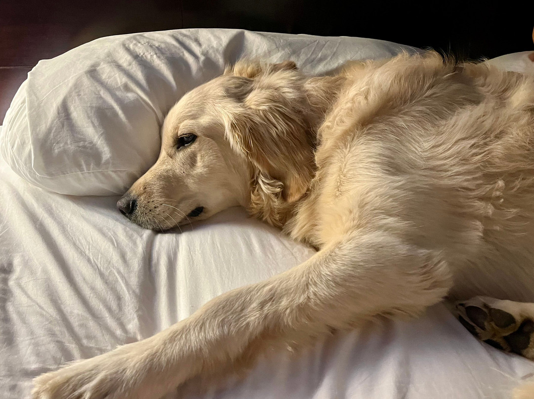 Hotel Downstreet主图