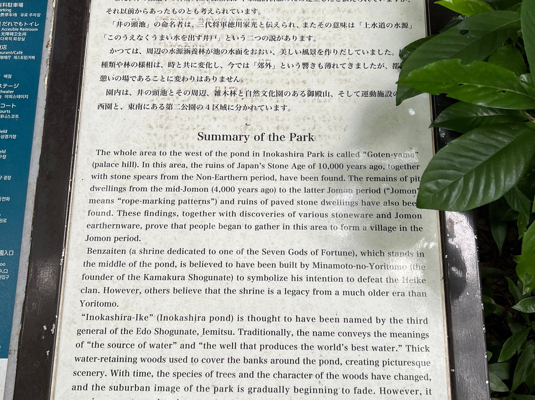 Inokashira Onshi Park-武藏野市必去景点