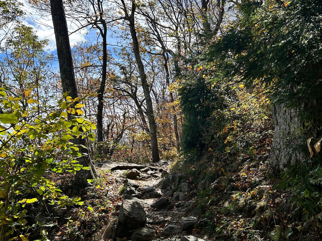 Stony Man Mountain Hike-卢雷必去景点