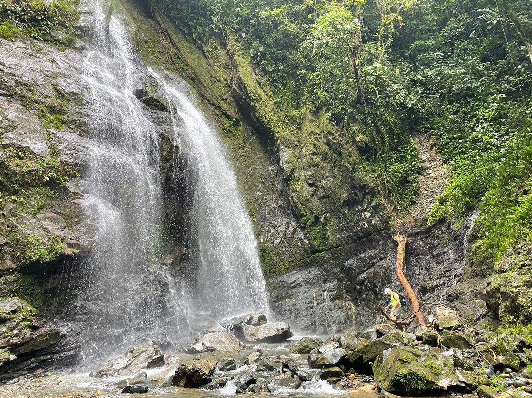 Coffee Mountain EcoTours景点图片