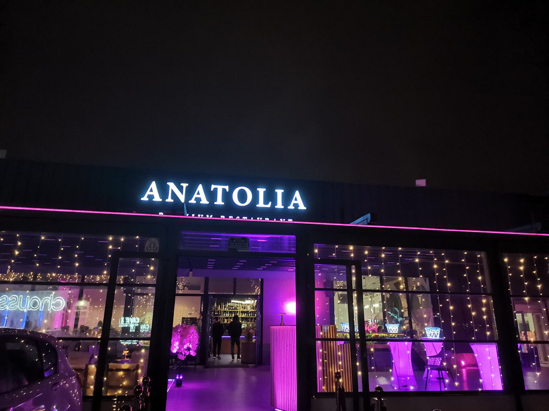Anatolia Premium Restaurant
