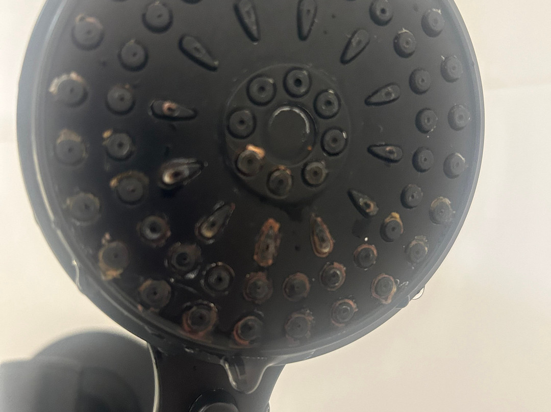 Hawthorn Extended Stay by Wyndham Williston/Burlington