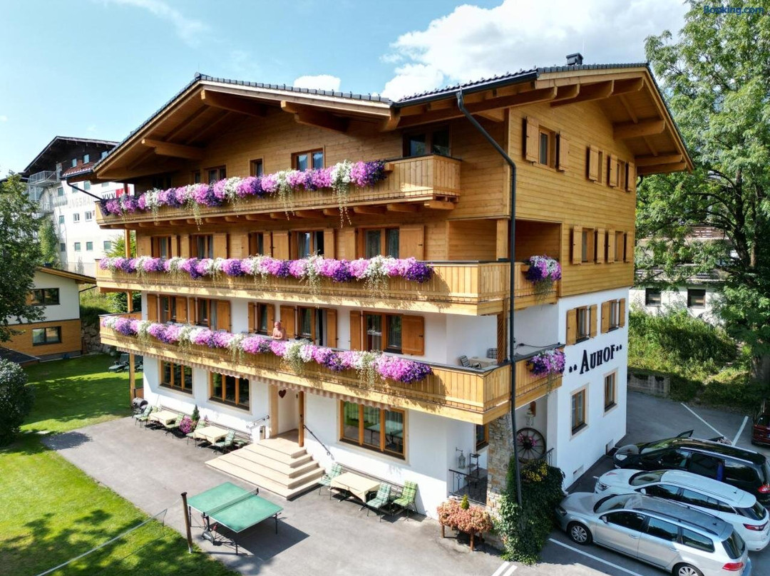 Appartement Pension Auhof主图