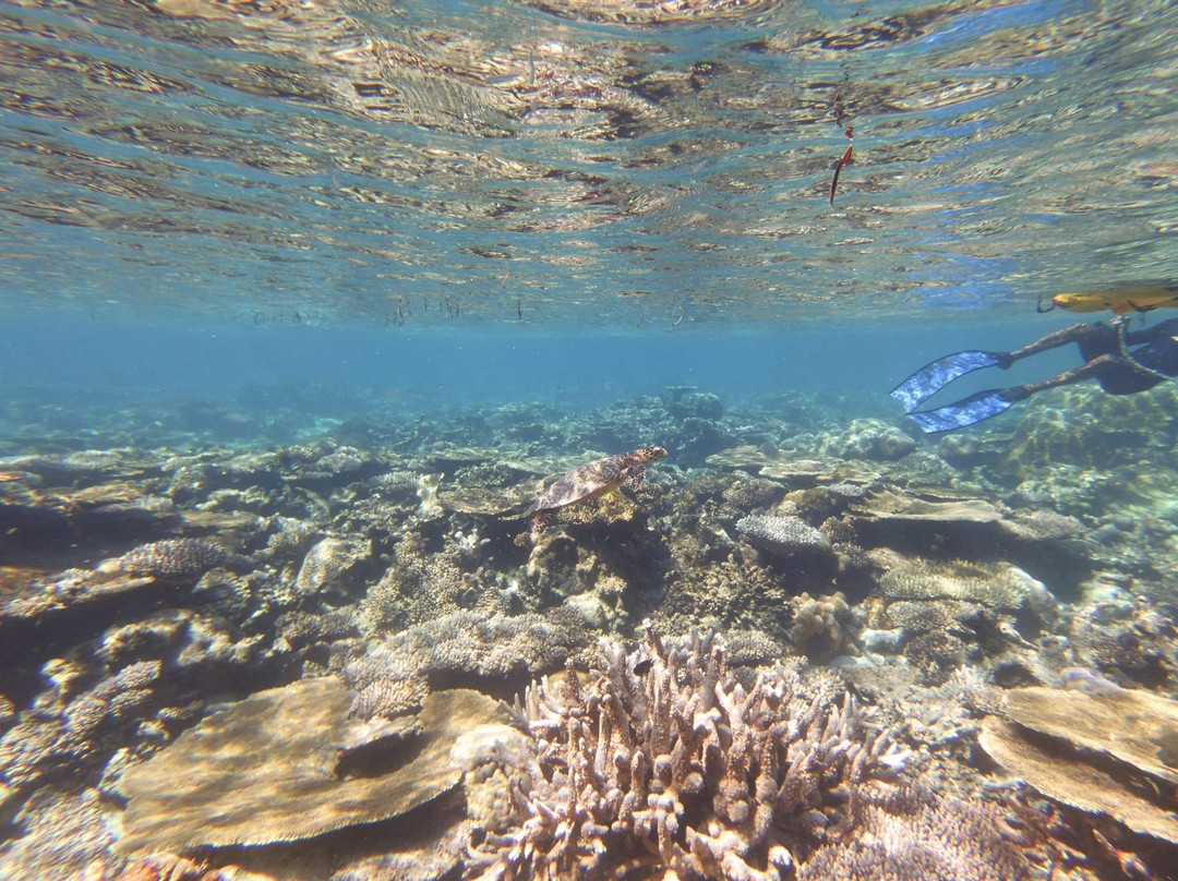 Deep Blue Divers-拉姆环礁必去景点