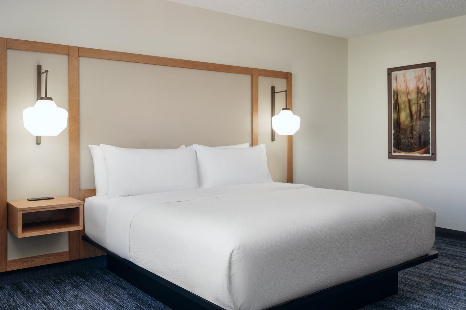 Fairfield Inn & Suites Birmingham Bessemer-客卧