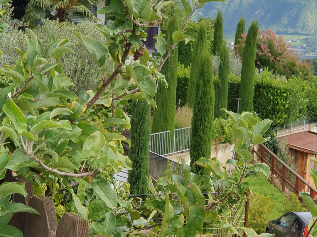 Hotel St. Justina Hof主图