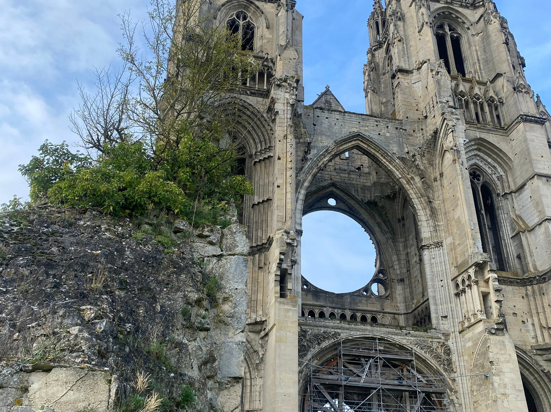 Abbaye Saint-Jean-des-Vignes景点图片